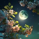 달빛풍경 이미지