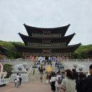 판다공작소 | 분당 가볼만한 곳_대광사(2025년 방문 후기)