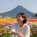 제주그랜드보청기 이미지