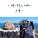 이스트독도 이미지
