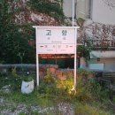 고향맛묵은지삼겹살 | 전주 객사 고깃집 고향역｜참숯 초벌 삼겹살과 숙성 묵은지 맛집