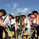 자연태양광2호 이미지