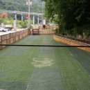 애견호텔 나무야 이미지