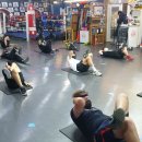 팀베어스복싱짐 이미지