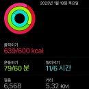 벨라다이어트