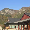 운문사 - 1733 | 운문사