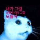 (주)심포디 | 식충이의 호흡 제 8형 월급 받자마자 다 써버리기