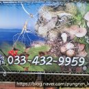 약초와산이야기 이미지