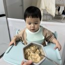 세원어린이집 | 2026년 2월 23일~3월 1일 주간일기 육아일기