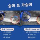 2월 체철 회와 효능 이미지