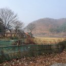 애룡산장