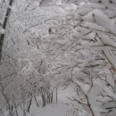 명석목장 이미지