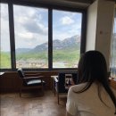 6월 둘째주 ㅣ 별일 없는, 그런데 또 별일 있는