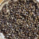 한방꽃차 소믈리에 교육과정 이미지