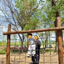 가평시내 자전거길 | 2026 자라섬 꽃페스타 가평 꽃축제 후기 (입장료·주차·자전거대여소 총정리)