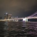 부산요트투어