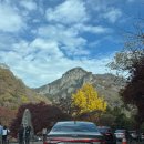 장성-25 | 25년 11월 | 당일치기 장성, 부여