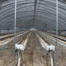 김대규농장 이미지