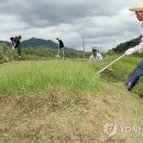 장수읍안양마을로 이미지