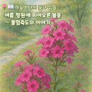 여름정원