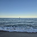 화니 | 강릉 경포대 조개구이 조개찜 화니조개구이 후기