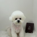 멍멍깍까 이미지