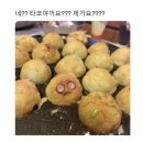 소소하고 특별하게