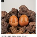투데이제주