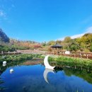 부부산약초
