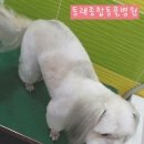 동래종합동물병원 이미지