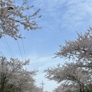 제주양돈축산업협동조합 청정배합사료공장 네이버블로그