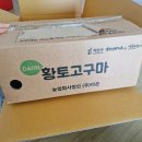 땅끝마을농장 | 해남 땅끝마을 고춧가루로 김장 준비하기