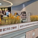이천명물 쌀베이커리 흥만소 글루텐프리 이천쌀크림빵 솔직후기