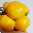 진선미농장 이미지