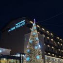 탄넨바움 | [대구 공연] 내돈내산 크리스마스 데이트 “캔들라이트”