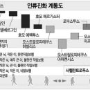 화석 2002 이미지