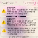 2월 1주 일상: 귀여울수록 추위를 더 느낀다네요