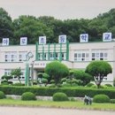 야로초등학교 이미지