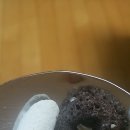 마시멜로 PC방 이미지