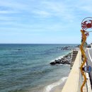 7번국도 이미지