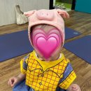 나르는 꿀꿀이 | 나주 혁신도시 봄봄문화센터 여름학기(24년 6월~8월) 오감발달통합놀이 베이비붐 12th “반듯반듯 네모...