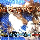 달빛좌대 이미지