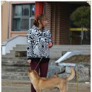 비상초등학교 이미지