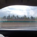 풍선목장 이미지