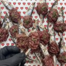 한끼멍냥 이미지