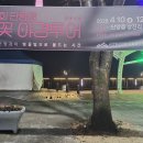 금수산펜션 | 단양 금수산황토빌펜션 커플여행, 벚꽃 야경투어까지 완벽했던 봄날