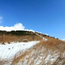 가시리마을 이미지