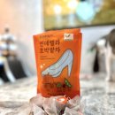푸딜라이트 이미지