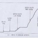 스키너의 조작적 조건화이론 이미지