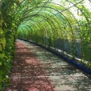 종합운동장2 이미지